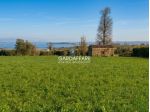 TERRENO AGRICOLO A MANERBA DEL GARDA
