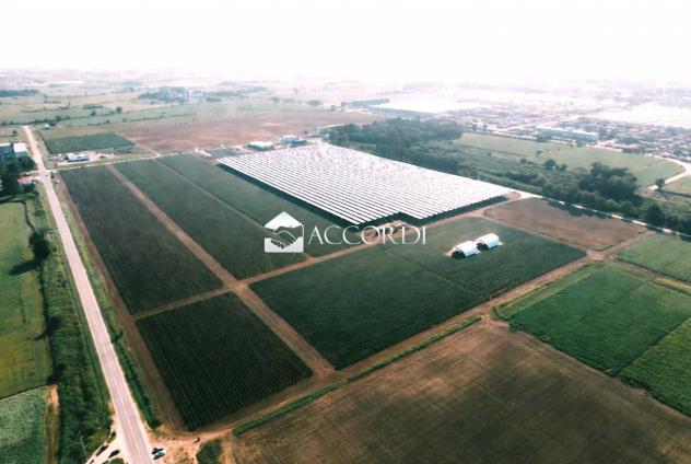 TERRENO AGRICOLO di 10715 mq (PARMA) rif. AS128 - Foto 20