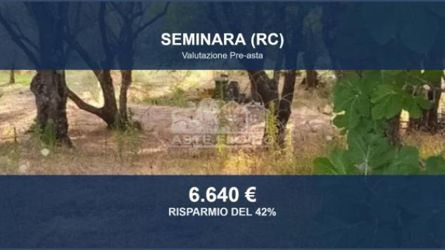 Immobile in asta di 6160 m² in vendita a Seminara