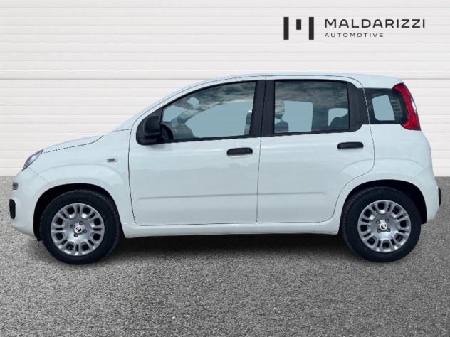 FIAT Pandina HYBRID My26 1.0 65cv Hybrid Icon - Foto 5
