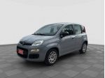 FIAT Panda Panda 1.0 FireFly Hybrid rif. 23952037