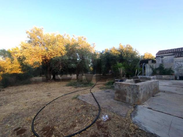 Terreno in vendita a Noto - Foto 6