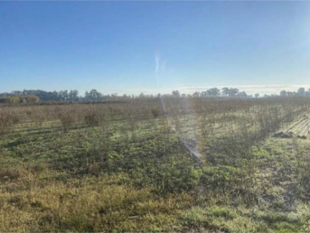 Immobile in asta di 10494 m² in vendita a Elmas - Foto 2
