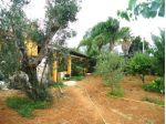Villa immersa nel verde