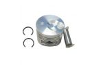 2502 287 PISTONE MOTORE LOMBARDINI LDW502