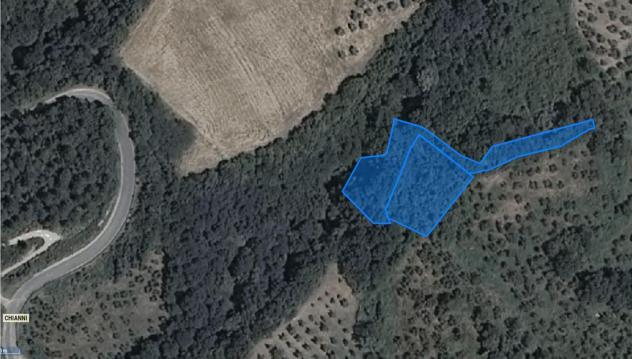 Terreno agricolo in vendita a Chianni 3400 mq Rif: 774563 - Foto 3