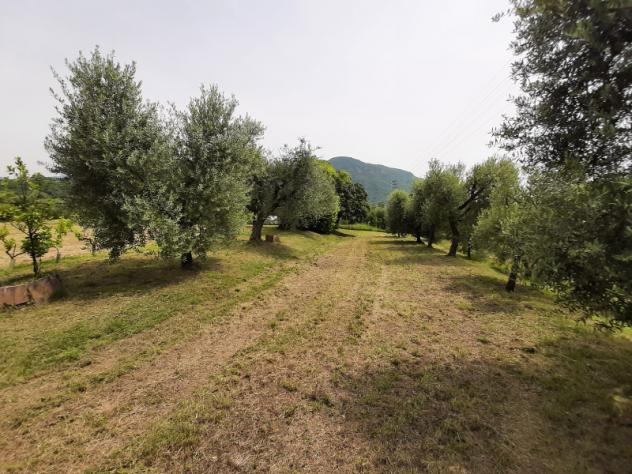 Terreno Agricolo - Roè Volciano . Rif.: 001 TA Trobiolo - Foto 12