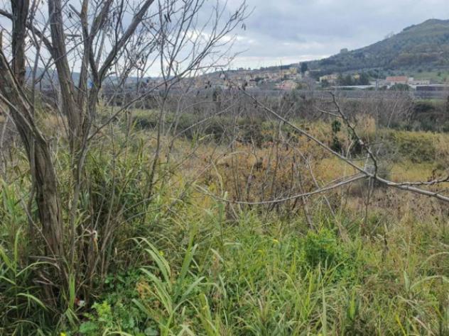 Immobile in asta di 201 m² in vendita a San Sostene - Foto 16