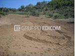 Terreno di 19015 mq  in vendita a Acri - Rif. 4542497