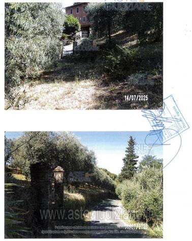 IMMOBILI-ALTRA CATEGORIA-Via di Capalle, 51035 Lamporecchio PT, Italia - Foto 8