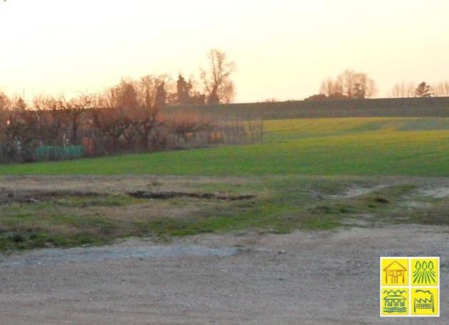 Lotto di terreno di 1325 mq. Ammonite