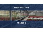 Immobile in asta di 13480 m² in vendita a Borgoricco