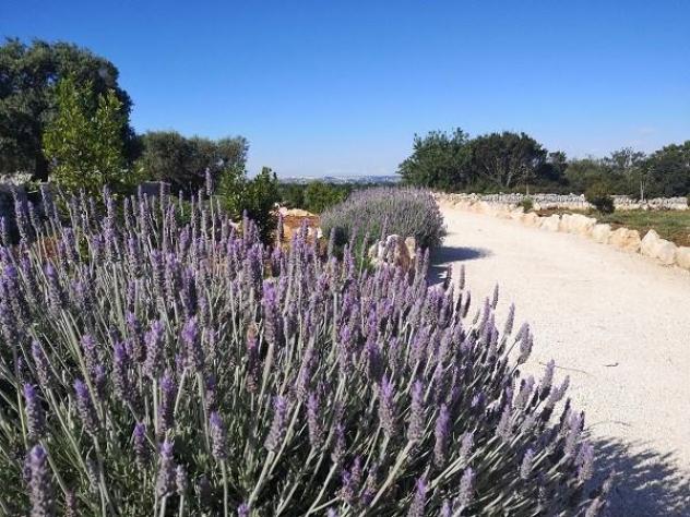 Masseria Poesia - Foto 5