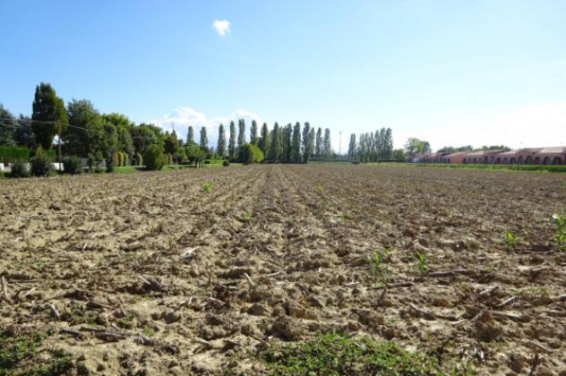 Villa di 220 m² con 4 locali in vendita a Mirano - Foto 5