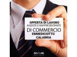 Consulente Commerciale settore Parrucchieri