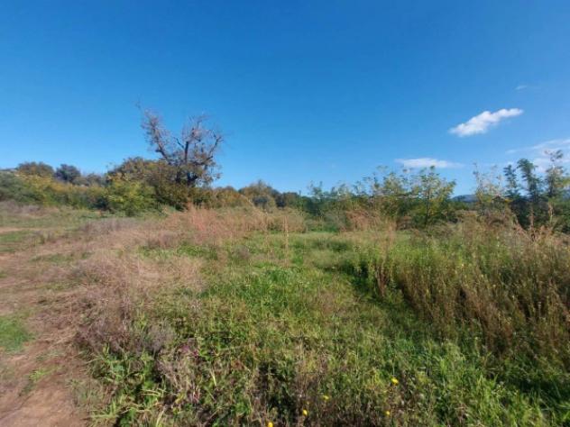 Immobile in asta di 3640 m² in vendita a Artena - Foto 9