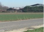 POZZO D'ADDA - IMMOBILE COMMERCIALE con PARCO DI 10.000mq
