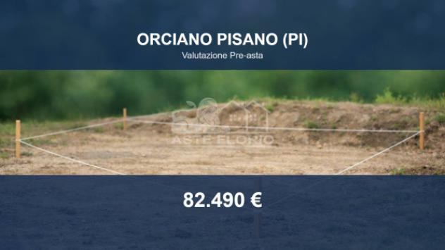 Immobile in asta di 3700 m² in vendita a Orciano Pisano