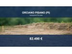 Immobile in asta di 3700 m² in vendita a Orciano Pisano