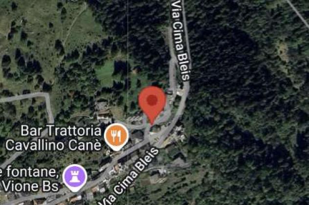 194/2025 4 BS - fabbricati e terreni in asta a Vione