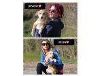 BEVERLY E BELEN, 4 MESI (20/11/25), TAGLIA MEDIA, TROVATI ABBANDONATE