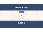 Immobile in asta di 38 m² in vendita a Triggiano