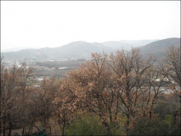 Trifamiliare in vendita a Monsummano Terme - Foto 8