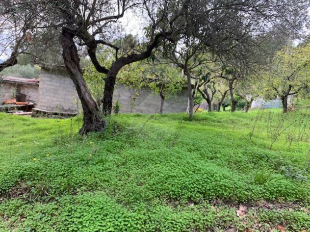terreno Madonna del carmine - Foto 3
