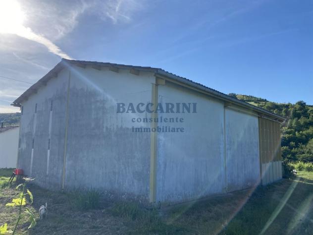 PODERE AGRICOLO CON CAPANNONE - BRISIGHELLA - FAENZA - VIA AGELLO E SANDRONA - Foto 19