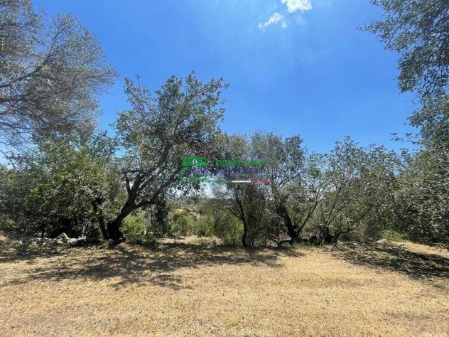 Rif.2616 Casale con Terreno a Frigintini - Modica - Foto 19