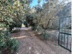 Agricolo in Via Cisternense