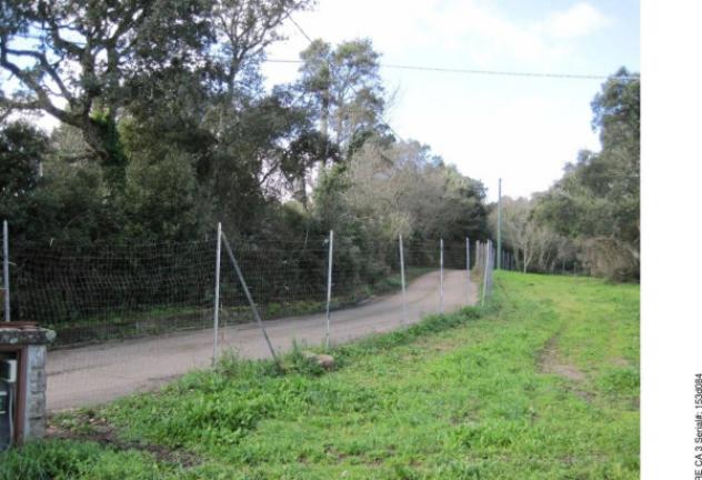 Immobile in asta di 271 m² con più di 5 locali in vendita a Tempio Pausania - Foto 8