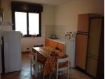 Stanza in duplex con balcone vicino alla Facoltà di Veterinaria