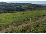 Immobile in asta di 18336 m² in vendita a Busso