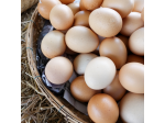 uova fresche