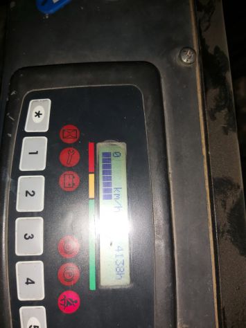 Muletto 35 q - Foto 3