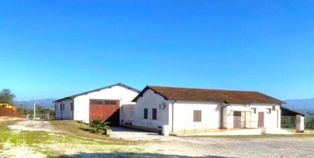 Capannone / Fondo in affitto a Fiano Romano - Foto 3