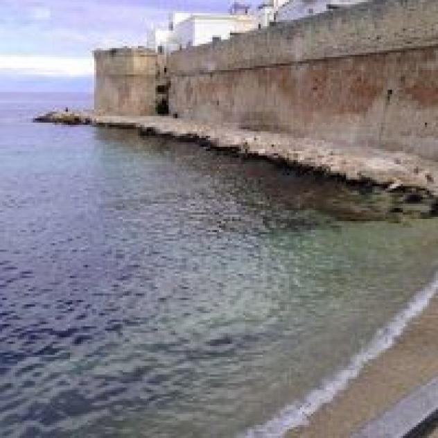 Masseria Bianca di Puglia - Foto 3
