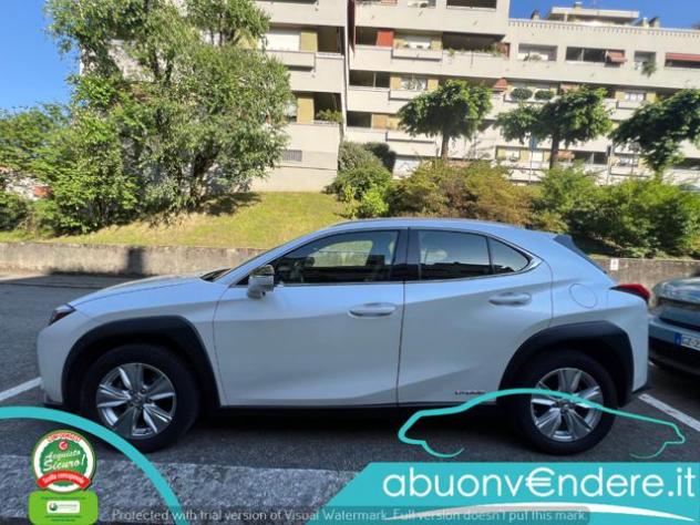 LEXUS UX 250h UX Hybrid Business UNICO PROPRIETARIO TAGLIANDATA rif. 23767149 - Foto 5