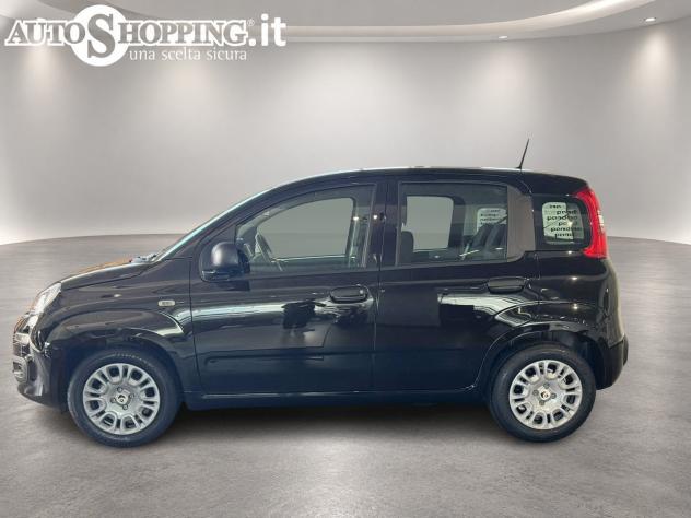 FIAT Pandina Panda III 1.0 firefly hybrid Icon s&s 65cv 5p.ti - Foto 7