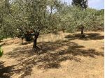 Casa Indipendente in vendita a Caltagirone