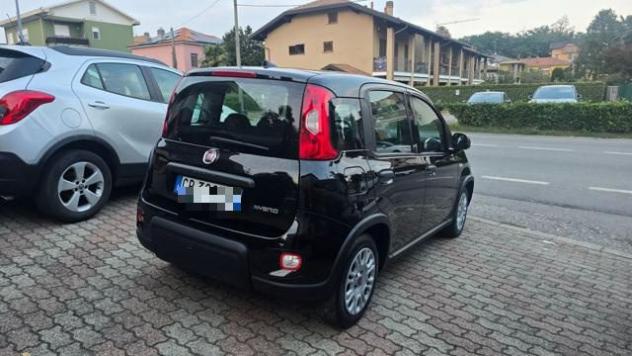 FIAT Panda 1.0 FireFly S&S Hybrid rif. 24146726 - Foto 4