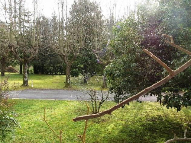 Villa di mq 350 , nel verde ed esposta al sole - Foto 10