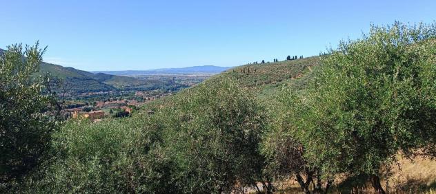 Terreno agricolo in vendita a Calci 7500 mq Rif: 1338268