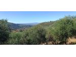 Terreno agricolo in vendita a Calci 7500 mq  Rif: 1338268