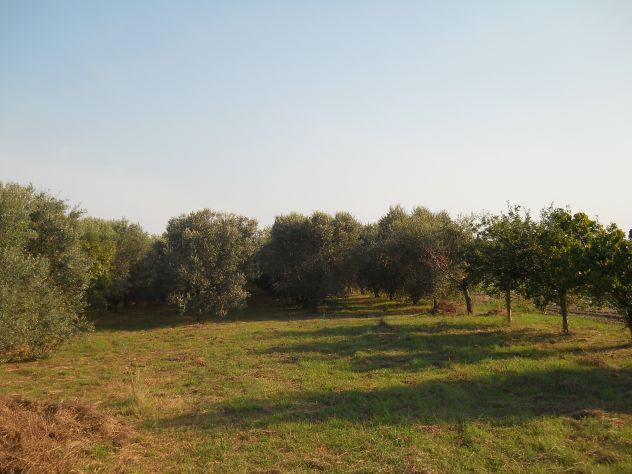 Oliveta, Piombino costa Est - Foto 7