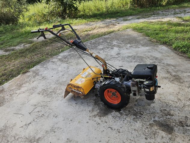 Motocoltivatore Grillo Fior Fiore. Motore Lombardini 6 HP. Invertitore a leva pe
