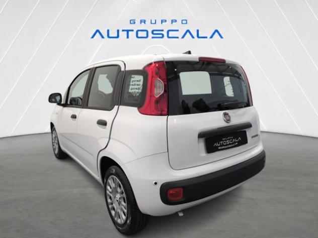FIAT New Panda Pandina 1.0 FireFly 65 CV Hybrid Icon rif. 24157234 - Foto 3