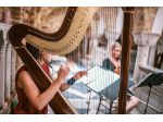 Arpista per matrimoni a Pavia