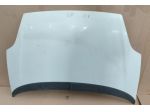 COFANO ANTERIORE FIAT Grande Punto 1° Serie (0508)